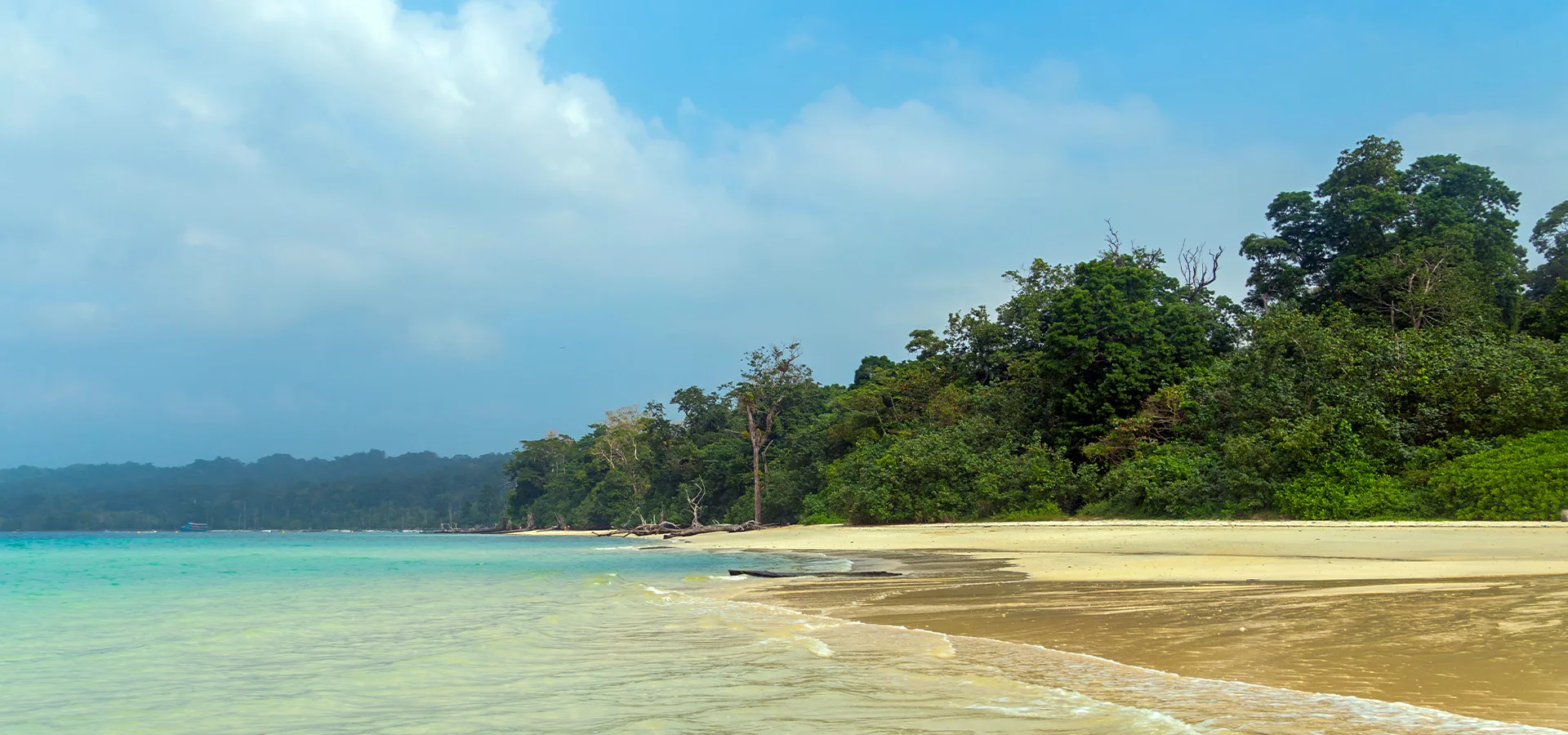 Andaman TourPackages