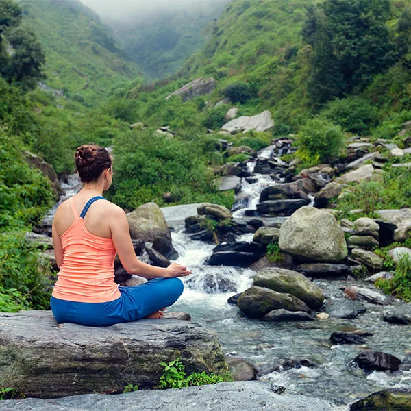 Wellness & Retreat