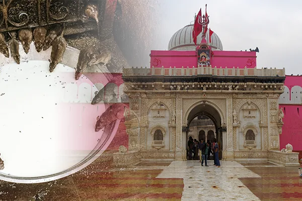 Around Bikaner