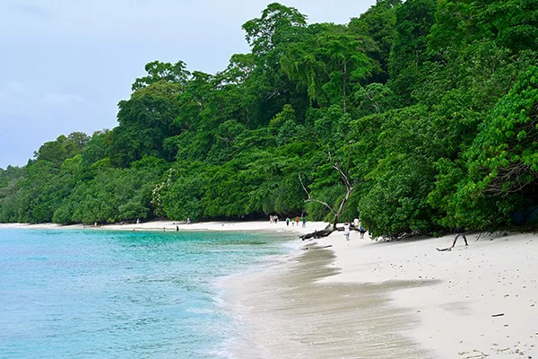 Havelock Island