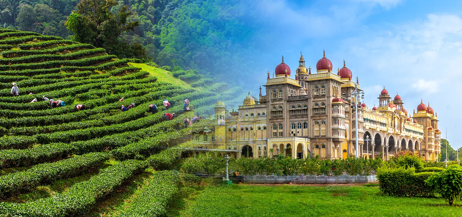 Goa