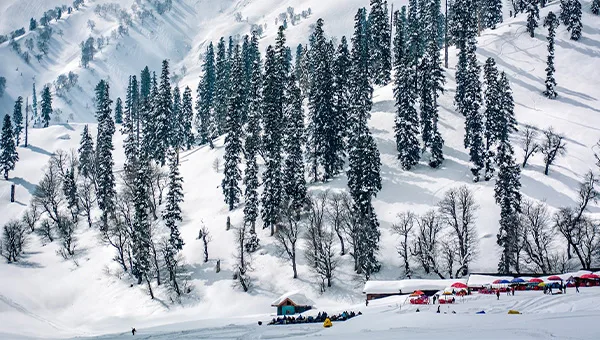 Gulmarg meadow