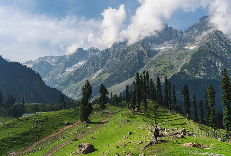Kashmir landscape