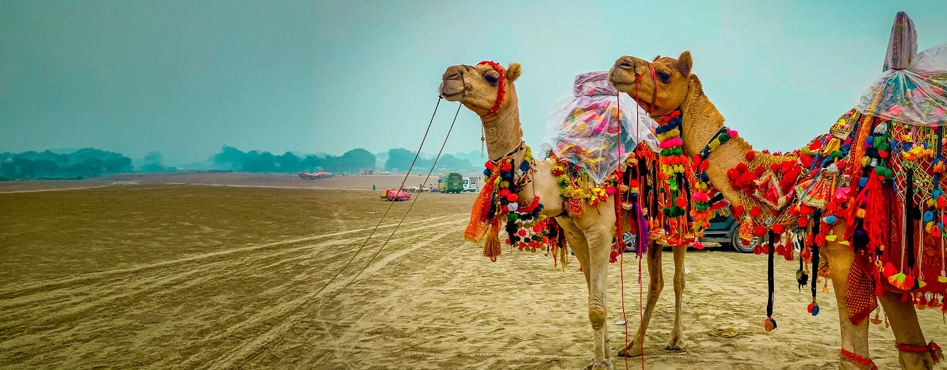 Pushkar Tour