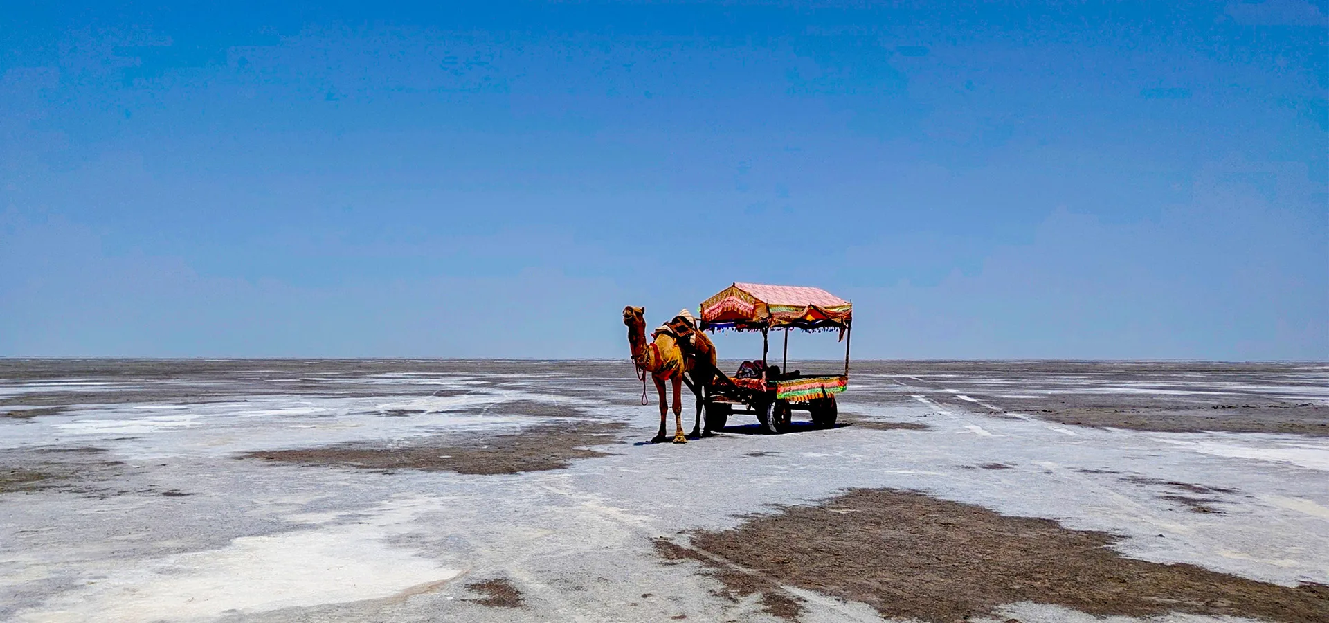 Bhuj, Rann of Kutch, Dholavira & Mandvi