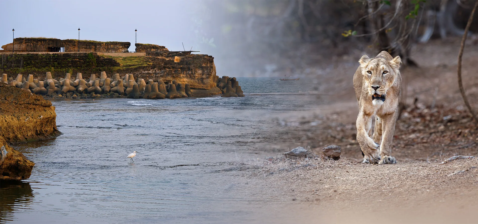 Gir & Diu — Lions to a Beach Escape