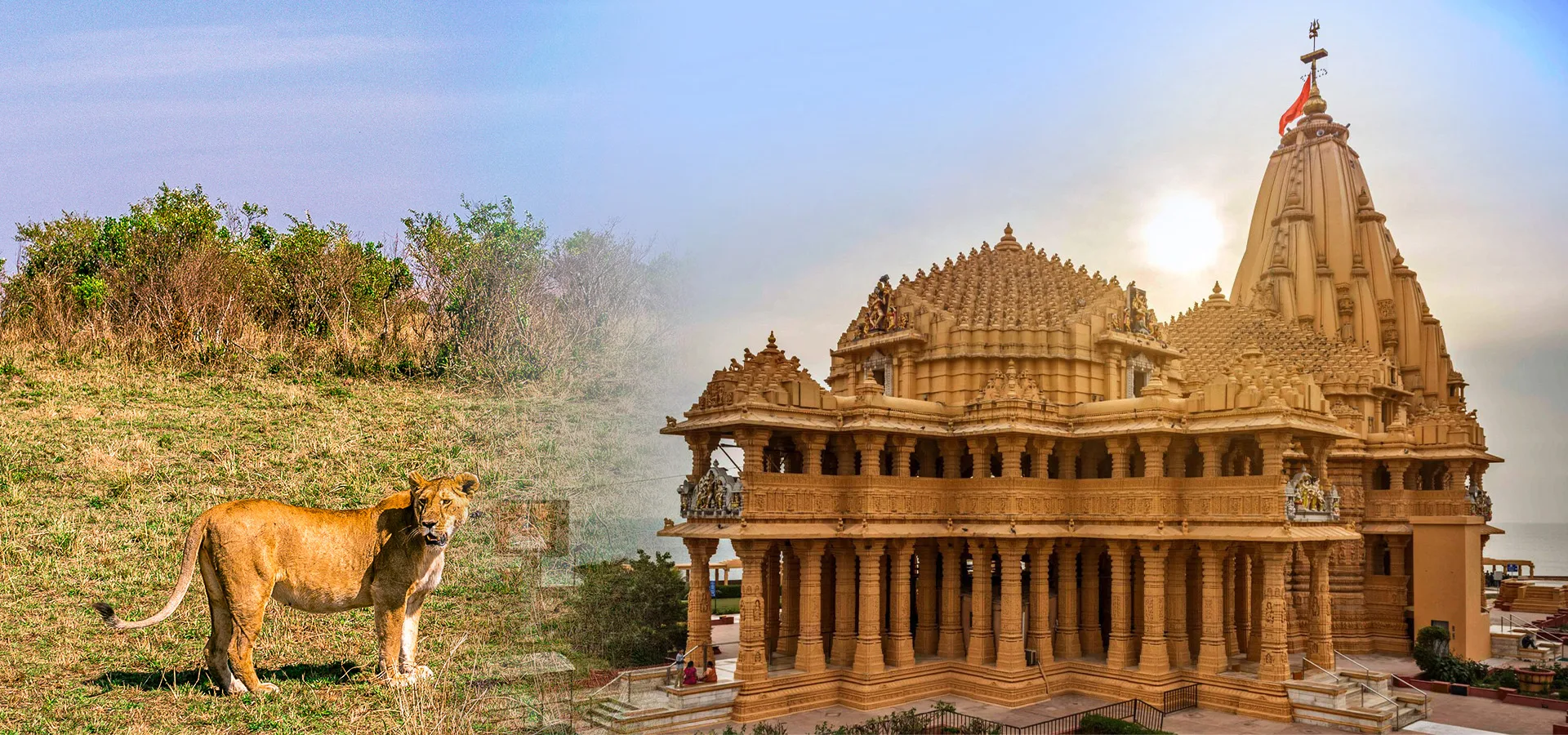 Ahmedabad, Jamnagar, Dwarka, Somnath & Gir