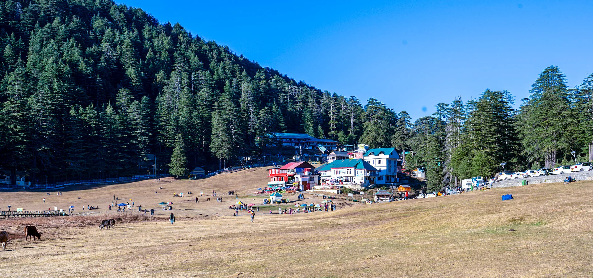 Himachal Grand Explorer — Shimla, Manali & Dalhousie