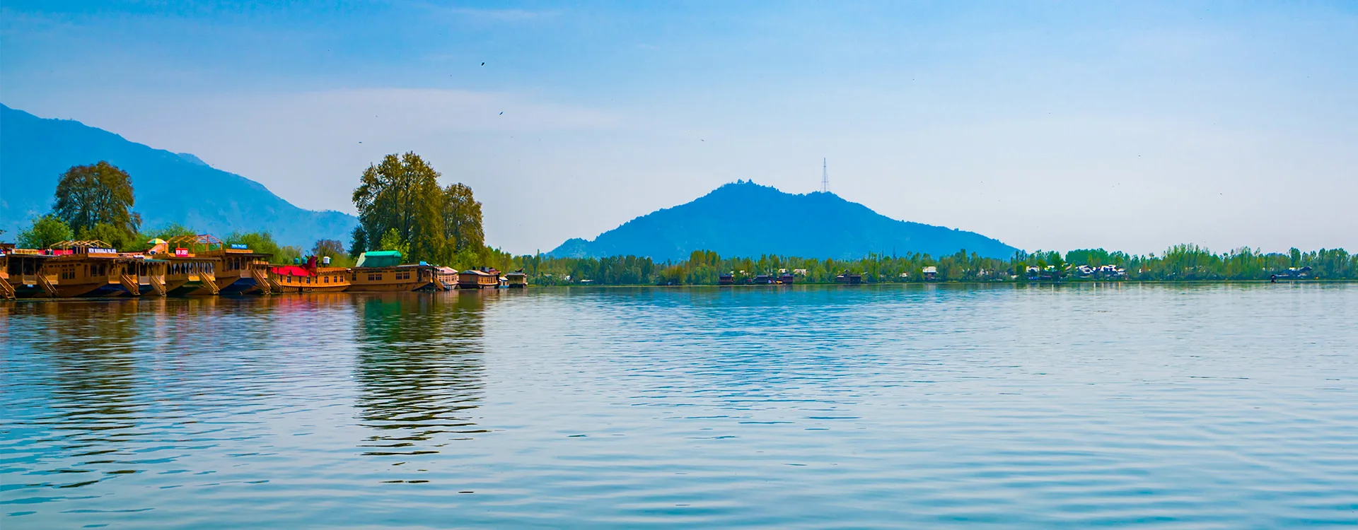 Kashmir Classic