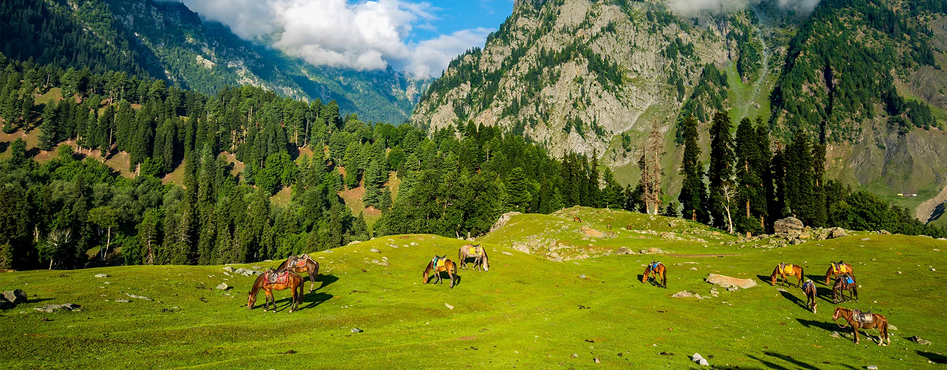 Kashmir Complete