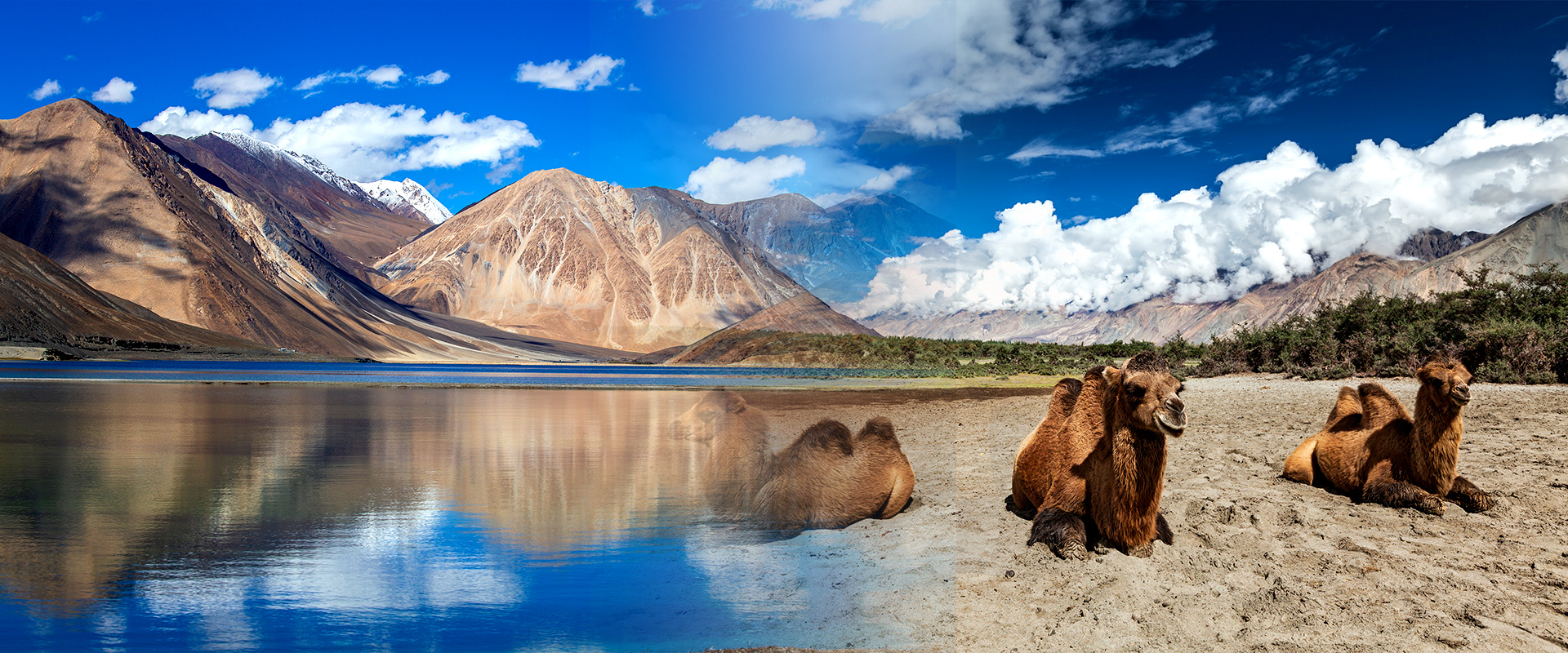 6 Days tour Leh with Nubra Valley and Pangong Lake