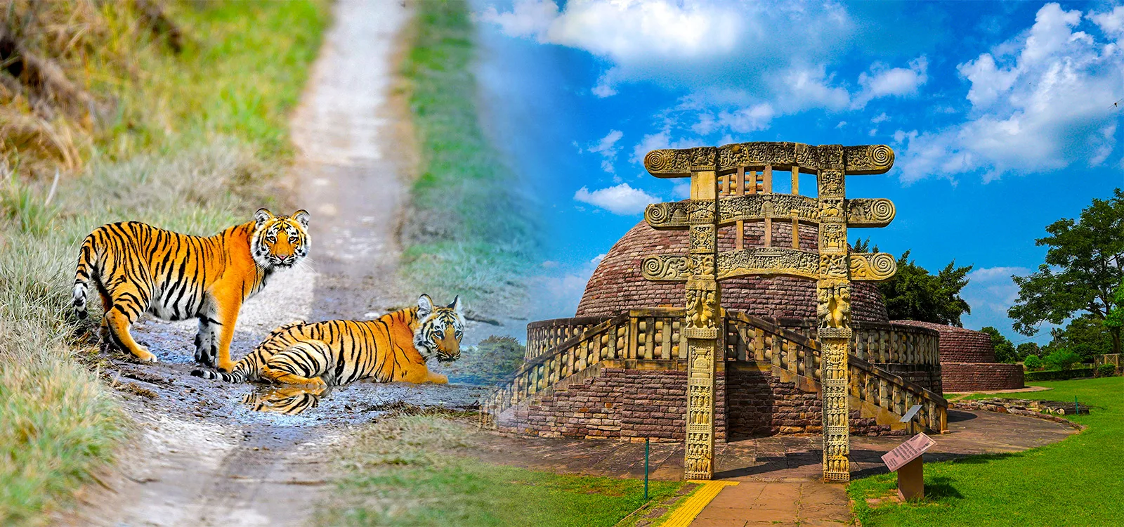 All Madhya Pradesh Tours