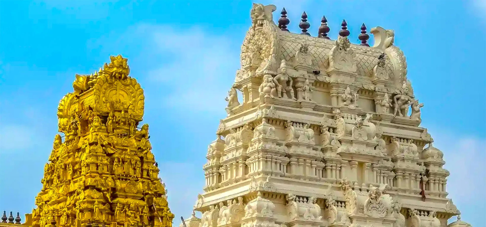 Tirupati Darshan